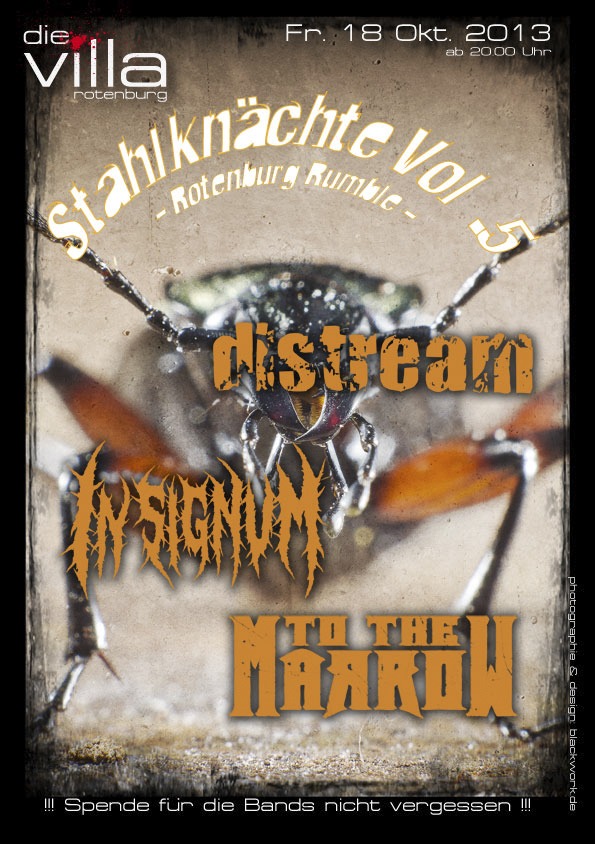 distream, Insignum und To The Marrow